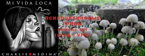 гашик Армянск